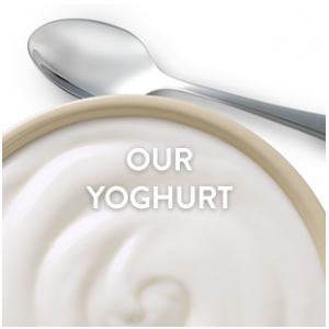OUR-YOGHURT